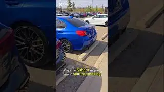 2019 Subaru WRX STI for sale! #shawnsellscars