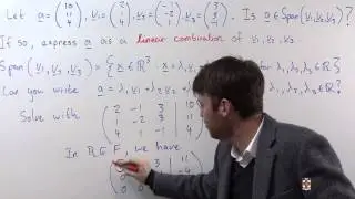 Ch6Pr28: Linear Combinations and Spans of Vectors