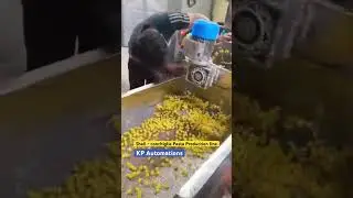conchiglie pasta Production line - shell pasta making machine in Bangladesh - pasta machine in dhaka