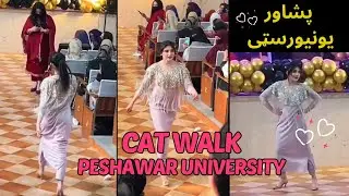 Peshawar University Cat Walk ! پشاور یونیورسټی کییټ واک