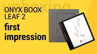 Распаковка и первые впечатления от Onyx Boox Leaf 2