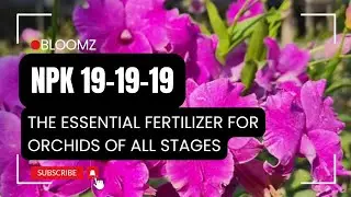 The Power of NPK 19-19-19 for Orchids: Essential Fertilizer for Seedlings & Mature Plants