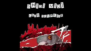 Last Surprise - Persona 5 OST (Shidi Midi Remix)