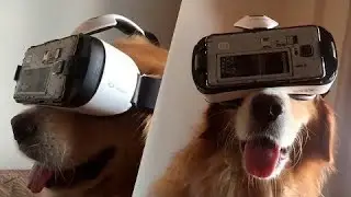 Funny moments on library