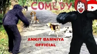 prank with dog | prank | comedy | funny video | #comedyvideos #funnyvideo #prank #dogshorts