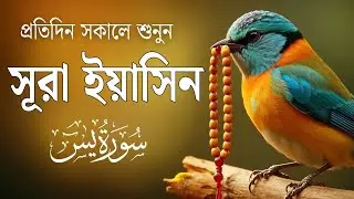 (প্রতিদিন শুনুন ) হৃদয় শীতল করা কণ্ঠে সূরা ইয়াসিন তিলাওয়াত | Surah Yaseen | by Shamsul Haque