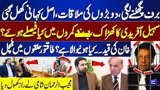 PTI & PML-N Ice Melting? PM Shehbaz Meets Sohail Afridi | What Decisions Were Made? | Big Analysis