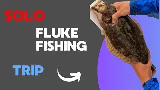 Solo Fluke Fishing Trip - Great Day on the Water!