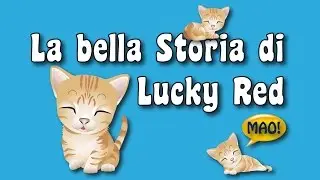 LUCKY RED, IL NOSTRO GATTINO CIECO