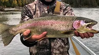 BIG Alaskan Rainbow Trout | Fly Fishing