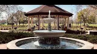 Gorgeous Walk Through Saratoga Springs, Nature Trail to Treehouse Water Taxi Dock, Walt Disney World