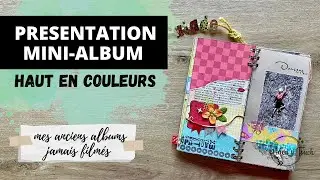 PRESENTATION MINI ALBUM | un mini haut en couleurs RELIURE BIND IT ALL