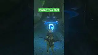 insane botw trick shot #trickshots #crazy #wild #gameplay