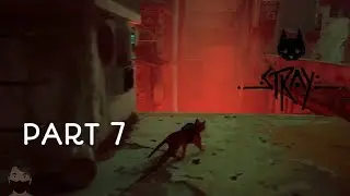 Stray (Transceiver) #7