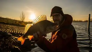 VISblad TV - praktijktest: de 'Ned rig'!
