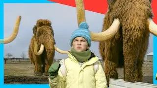 🦕 Mammoth Teamwork! Girls Protect, Boys Explore! | Dino Kids | Dinosaur Shows for Kids