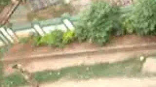 BPUT STRIKE OF 20TH MAY 2010
