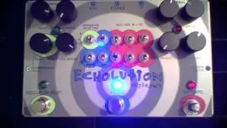Pigtronix - Echolution - Rhythmic Delay