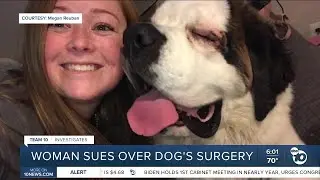 Woman sues over dog's surgery