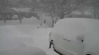 February 10, 2010 - Near White Out Conditions