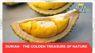 Durian - The Golden Treasure of Nature | Smart Kids Journey