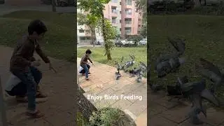 Birds feeding #animal #animallovers #birds #birdslovers #pets #entertainment #viral #post #love