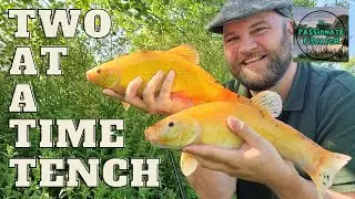 Anglers Paradise Specimen Tench and Orfe Lake - Angling for Golden Tench
