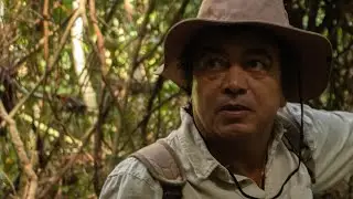 Evandro Correia - Do Azul Ao Azulejo (Clipe Oficial)
