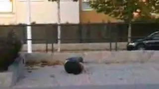 Manolo-Tas Bien??