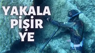 DALDIK VURDUK VE YEDİK !!! Zıpkınla Balık Avı Vlog - 6