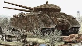 The 