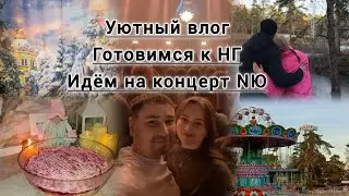 ВЛОГМАС#1 УКРАШАЕМ ДОМ/ШОППИНГ/ ЛУЧШИЙ КОНЦЕРТ NЮ