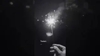 What drives our testers in 2026? 💪