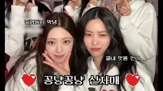 [ITZY]꽁냥꽁냥 신자매
