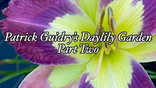 Patrick Guidry's Daylily Garden 2020 Visit Part Two
