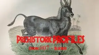 Prehistoric Profiles #07 Bluebuck