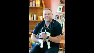 Traditional & Holistic Pet Care in One Place | Pequot Lakes Animal Hospital