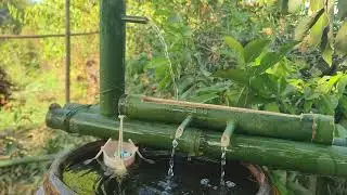 Music Relaxing - Piano music and bamboo water flow create a tranquil, natural Real Bamboo