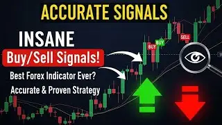Best Trading Indicator With Accurate Buy & Sell Signals | Proven Forex Strategy