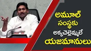 AP CM YS Jagan Full speech on Amul Project | Amul Milk Project | AP CM YS JAGAN | Social Tv Telugu
