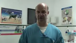 Tratamiento de la artrosis en gatos.