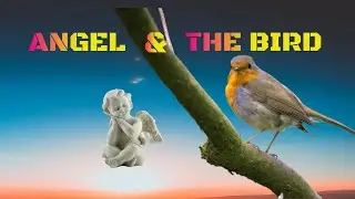 Angel and The Bird- A Short Motivational Story