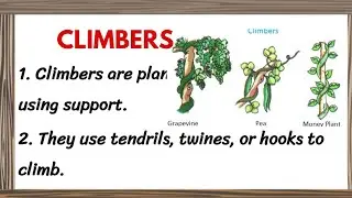 10 LINES ESSAY ON CLIMBERS