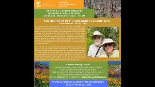 Fire Recovery in the San Gabriel Mountains