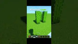 #biel #minecraft