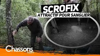 Pr&eacute;sentation et essai du Scrofix, attractif pour sanglier