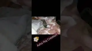 Squirrel video /Tamil songs❤️/vanamagan movie song