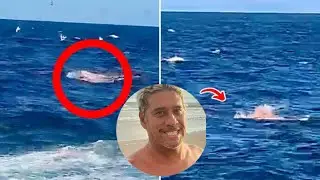 ' pirates of the Caribbean '  Shocking Details of Tamayo Perry's Shark Attack in Hawaii