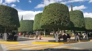 Silao, Guanajuato. Conduciendo