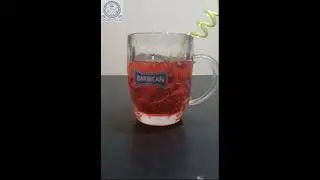 Stop Motion Magic by Al Mahd School Saar Students (By Taim Grade 11)